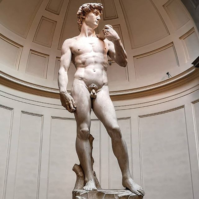 El David de Miguel Angel en la Galeria de la Academis de Florencia 
