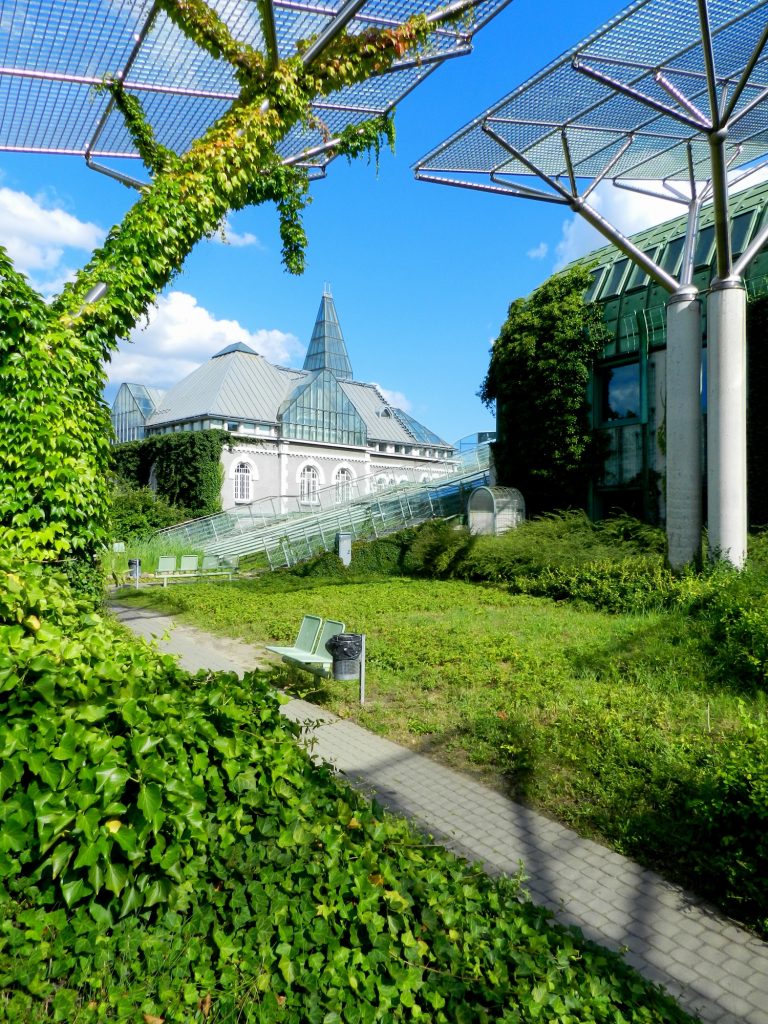 Biblioteca de la universidad de Varsovia