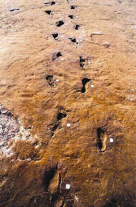 Impronte di fuggitivi nelle ceneri dell'eruzione detta delle «pomici di Avellino» (datata tra il 1880 e il 1680 a.C.) 