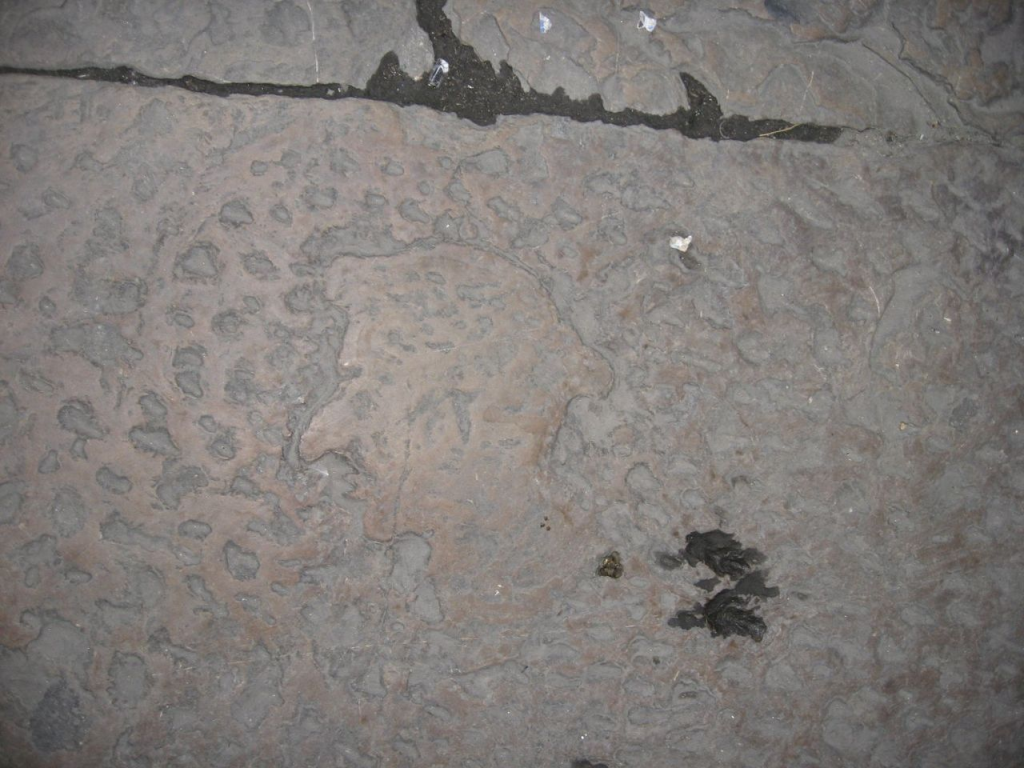 Perfil de Dante tallado en una losa en el suelo de la plaza frente a la torre de la Casa de Dante
