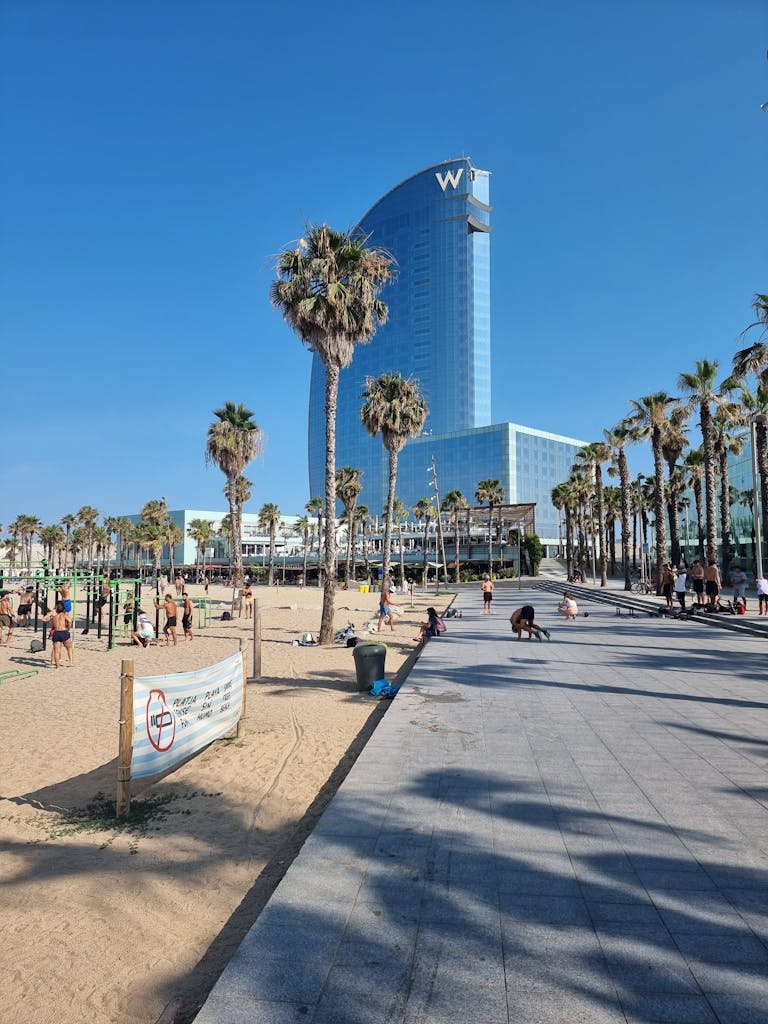Alojamiento en Barcelona Donde dormir.Alojamiento en Barcelona Donde dormirA tall modern skyscraper with palm trees lining a sunlit beach promenade in Barcelona.